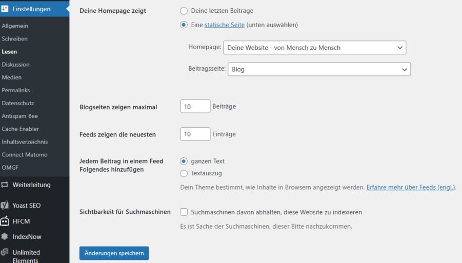 Screenshot von den Einstellungen Lesen für SEO in WordPress